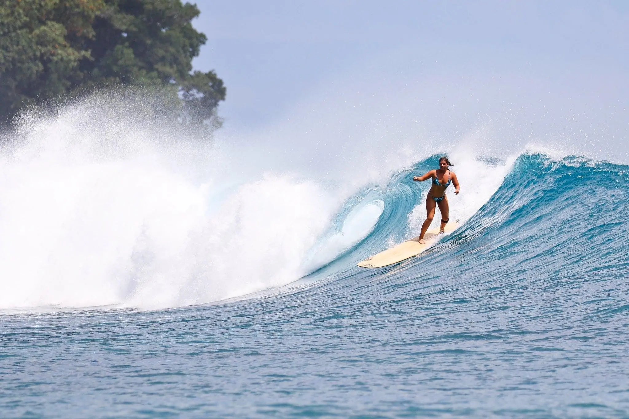 Boardsox Welcomes Queen Kirra - BOARDSOX® Australia